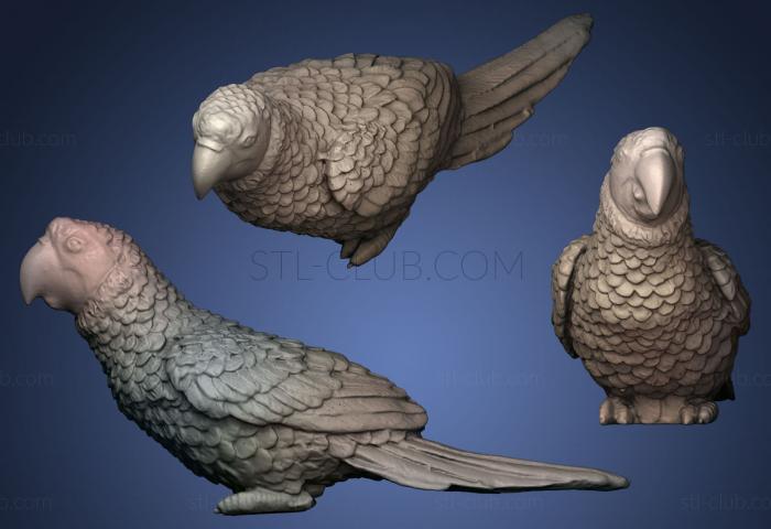 3D мадэль Попугай Ара Грин (STL)